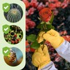 Praknu Leather Rose Gloves – German & Protective Gardening Gloves
