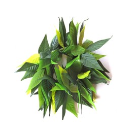 Flat maire raurii Double Bracelet Wristband (Green 3 Tone) 22 cm Stretchy