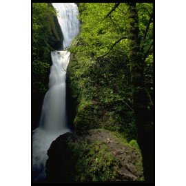 Unbranded NATURE SCENES WITH FLORAL DESIGN FOR HOME DECOR WALL ART PICTURES 8.5X11