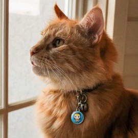 GRAPHICS & MORE Wonder Woman Cute Chibi Chrome Plated Metal Pet Dog Cat ID Tag