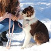 Tella & Stella - Dog Collar for Small Dog -