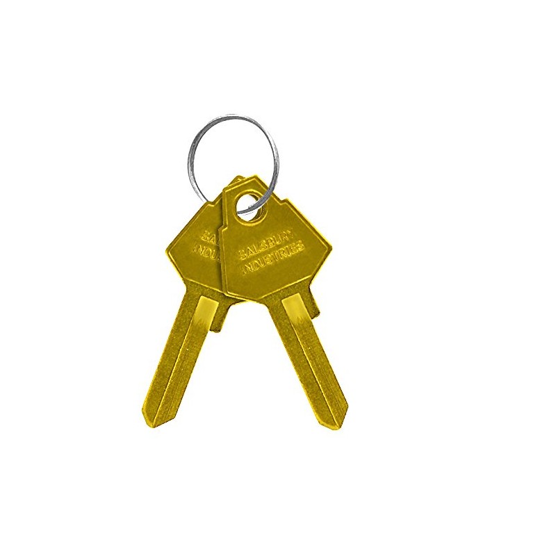 Salsbury Industries Aluminum Mailboxes Key Blank, Pins 5, PK50, Brass