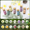 Fragrance Essential Oils Set - 14pcs, Aromatherapy Oils for Skin,