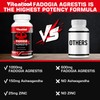 Vitanboost Fadogia Agrestis 1000mg with Ashwagandha & ZINC- Maximum Strength