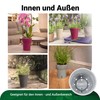 Happy Plants Orchid Pot D 14.7 cm Flower Pot with