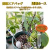 Watering Power Supply Cap for Plants, Set of 6, Ceramic,