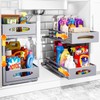 Under Sink Organizer, 2 Tier Under Sink Organizers and Storage,