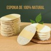 10 Esponja Vegetal Exfoliante Lufa 100% Natural Limpieza Corporal Elimina