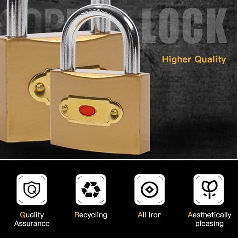 RICHSUM 2 Pack Small Padlock with Keys - Mini Key