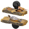 CAVACHEW 2 in 1 Reptile Feeding Ledge & Turtle Basking