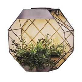 DIVAS SPIRITUAL Hexagonal Wall Planter Grey (Grey)