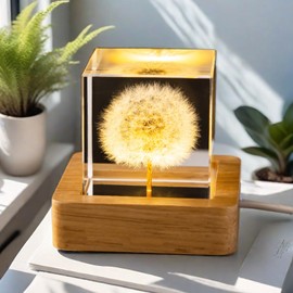 Fximey Dandelion Crystal Cube Night Light, 2 inch Transparent Cube Night Lamp with Preserved Fresh Flower, Square Glass Decoration Lights with Wooden Base,Unique Gift for Wife,Lover,Girls - Dandelion