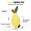 CHEWFFON Squeaky Dog Toy, Plush Lemon for Small and Medium