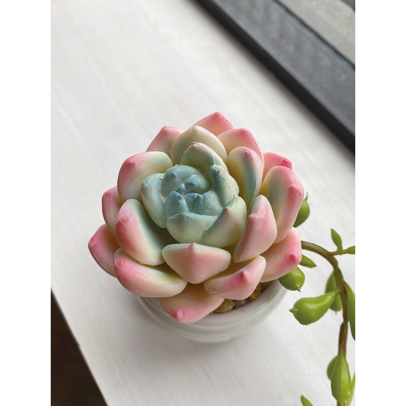 Kishima (Kishima) Eclea Deodorizing Artificial Green, Green, Size: Approx. W