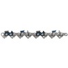Oregon Chain, 21LPX064E