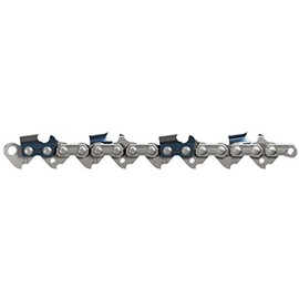 Oregon Chain, 21LPX064E