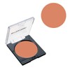 Sanyoshi Light Veil Foundation DC-5 0.4 oz (12 g) HD