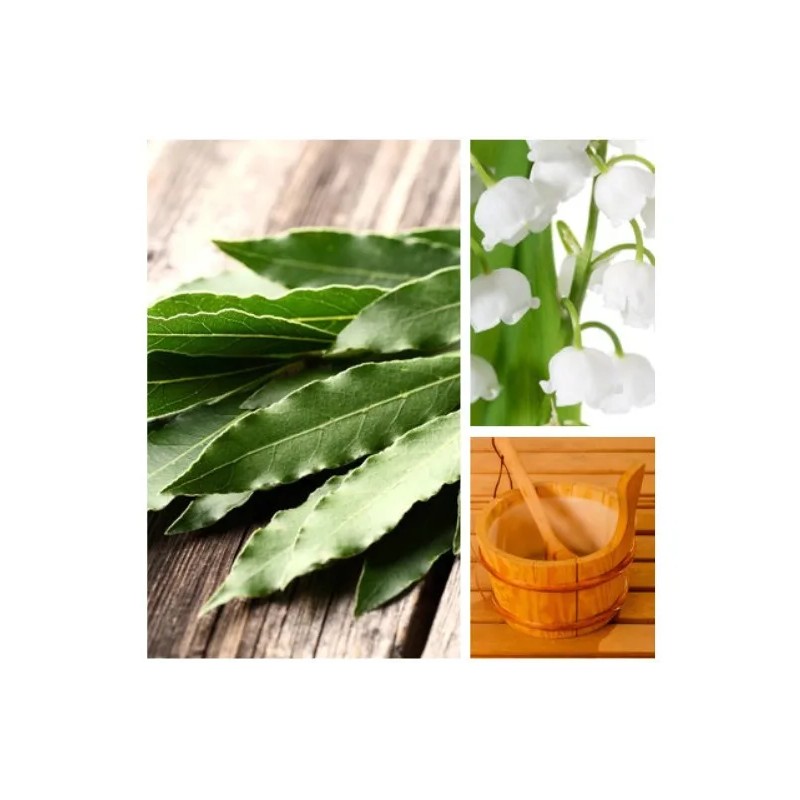 Aromas Para Difusores Profesionales A Base De Aceites 100ml Spa