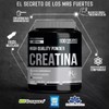 Holix LAB - Creatina Monohidratada - 500 grs, rinde hasta