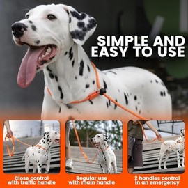 HOWGO Correa Antideslizante para Perros, Correa de Entrenamiento de Cincha y Collar Antitirones, Resistente y Duradero, Asa Acolchada, Para Todas las 