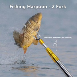Dutiplus Large Fishing Harpoon 1~11 Prong Barded Stainless Steel Hunting Fish Gig Gaff Fork Hook with 8mm Screw for Catching Big Fish Mole Big Bullfrog (Silver 2 Fork)