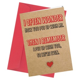 Birthday Card / Anniversary Card or Valentine Card Rude funny humour joke Put up with Me #309