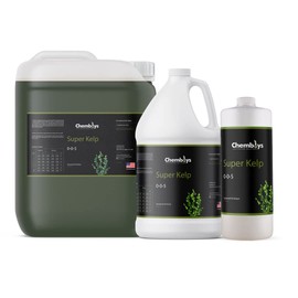 Chemboys Super Kelp Liquid Seaweed Fertilizer Kelp Plant Food Supplement for Plant Growth, Bloom & Yield Boost Liquid Seaweed Concentrate Garden Fertilizer - 1 Pint (16 fl oz)