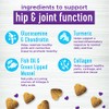 Wellness Grilled Chicken Flavored Soft Chews Hip & Joint Health