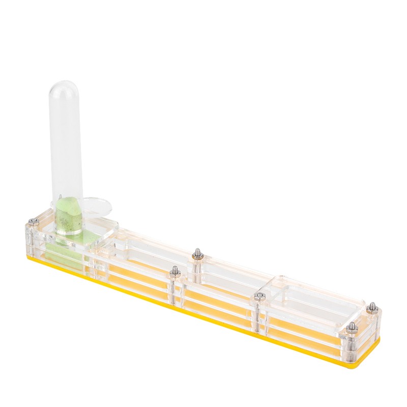 Acrylic Ant Breeding House Nest Formicarium Display Box with Water