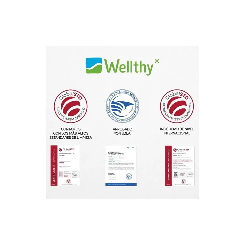 Wellthy Vitamina C + Jengibre 90caps