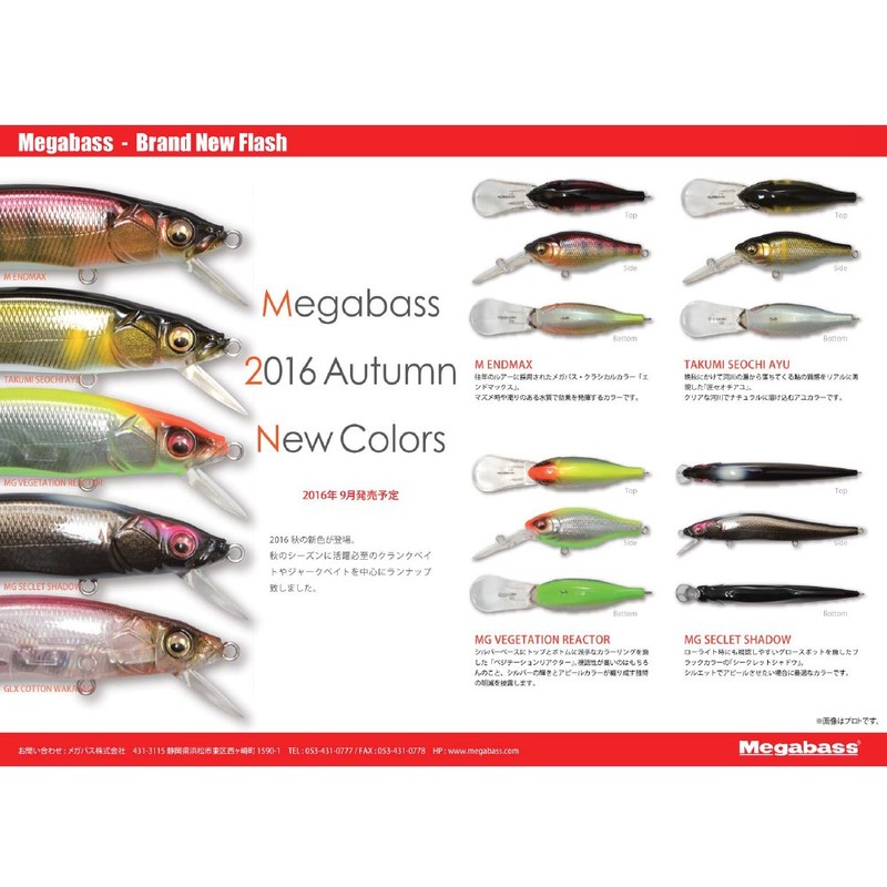 Mega Bath (Megabass) Lure X – 80jr. (X – 80 Junior) Handmade seotiayu 36080 