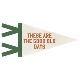 JXREQ These Are the Good Old Days Pennants Banners Flags for Kids Room Decor, Trendy Inspirational Positive Affirmation Canvas Wall Art Decor for Home Office Workplace Classroom, 8x17 Inch
