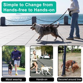 Hands Free Dog Leash with Zipper Pouch, Dual Padded Handles and Durable Bungee for Walking, Jogging and Running Your Dog (Large, 25-120 lbs, Black)