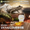 Reptile Water Container Pet Water Supply Automatic Water Supply Turtle