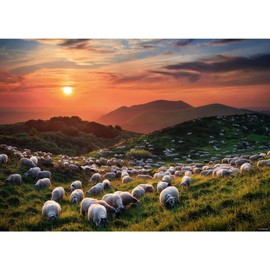 1000 Piece HEYE Puzzle Hay Puzzle Ed. Humboldt : Sheep and Volcanoes 50x70cm 29977