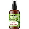 Wacan Advanced Tea Tree Piercing Spray, Saline Aftercare Piercing Cleaner