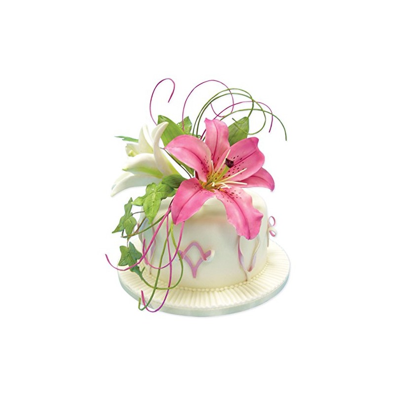 PME Veined Lily Plunger Cutters, Large Size, Set of 2