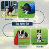 Dog Agility Course Backyard Set, Dog Agility Equipment, Portable Agility
