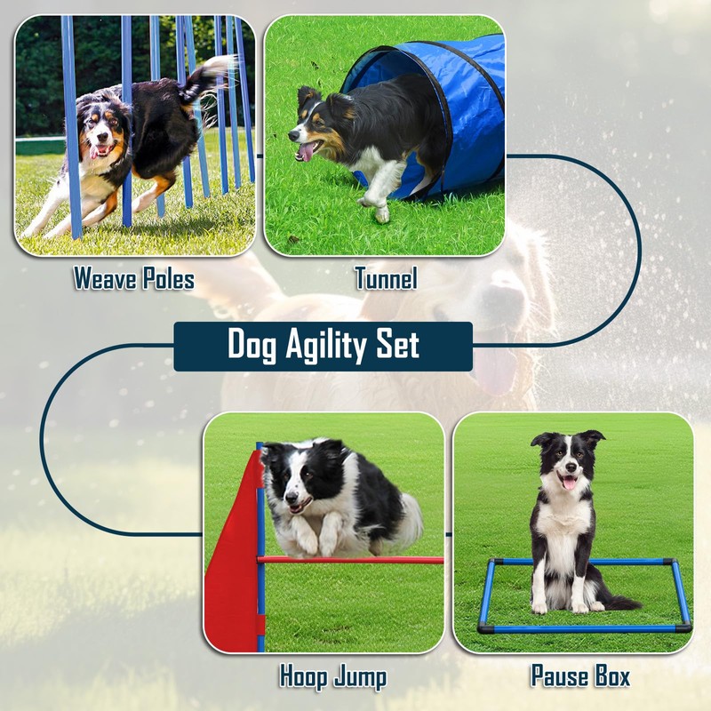 Dog Agility Course Backyard Set, Dog Agility Equipment, Portable Agility