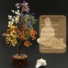 Trrystals Seven Chakra Natural Gemstone Tree – Feng Shui Crystal