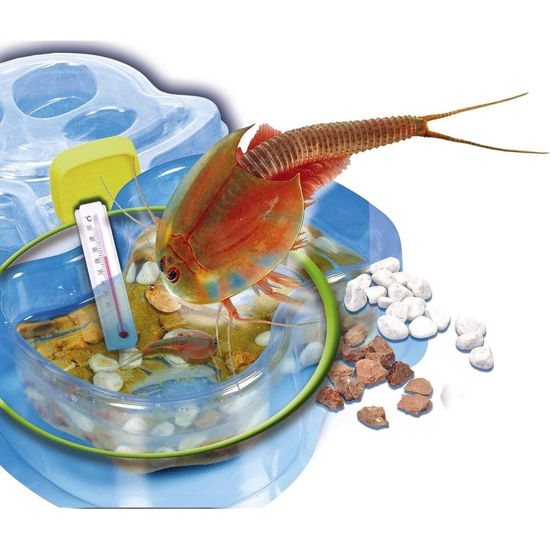 Clementoni – 62254.2 – Triops Bildungs- und Wissenschaftsspiel