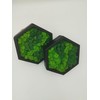 LoveLasy Bicolour Moss Wall Picture Hexagon for Home and Office