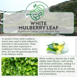White Mulberry Leaf Premium Loose Herbal Tea Morus Alba (100g)