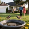 Bird Bath Copper Plate Water Purifier,with Stable 3-Point Support,Stable and