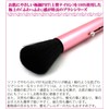 Shishida Seishindo Blush Brush Slide, Pink