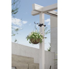 Hawks Show hangingubasuketto Small