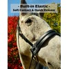 Ultimate Bitless Bridle (Black, Draft