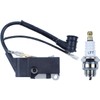 Ignition Coil Module for 4500 5200 5800 45cc 52cc 58cc