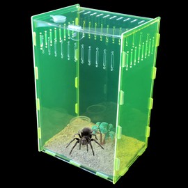 12x8x6 inch Magnetic Acrylic Reptile Case, Vertical Clear Green Tarantula Enclosure Tank, Micro Habitat Terrariums Suitable for Insect, Spiders, Crickets, Snails, Hermit Crabs, Lizards, Frogs
