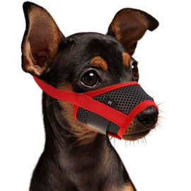 WLLHYF Dog Muzzle Soft Nylon Muzzle Breathable Pets Muzzle Anti Barking Biting and Chewing Comfortable Mesh Soft Fabric Muzzle Adjustable Strap for Small Dogs (Red)